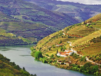 Imperdíveis: 4 hotéis no Douro com SPA