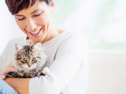 3 doenças transmitidas pelos gatos que deve conhecer