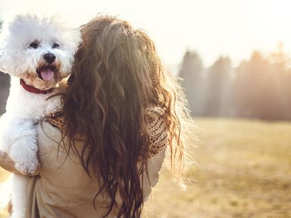 10 cães de raça pequena que vai querer conhecer