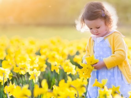 Cor da primavera: amarelo - 7 peças para menino e menina