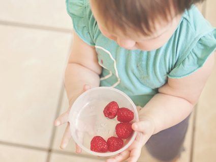 3 receitas para bebés dos 6 aos 24 meses