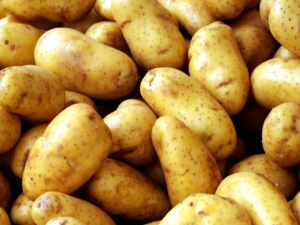 Como plantar batatas em casa