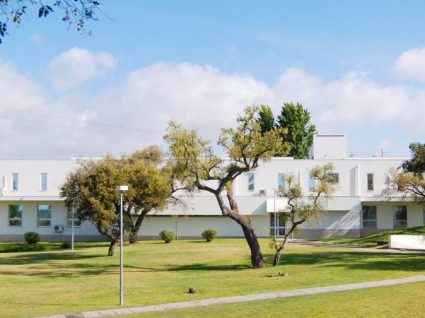 Instituto Politécnico de Setúbal está a recrutar