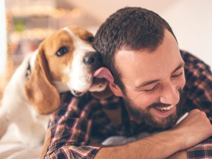 Saiba tudo sobre o seguro de responsabilidade civil para cães