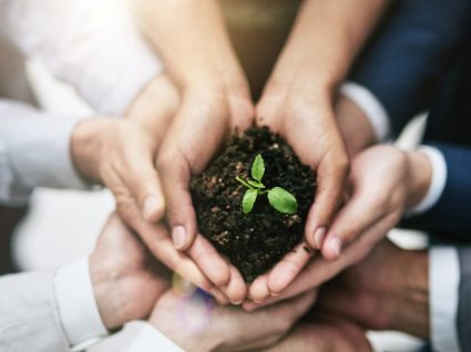 Ser mais ecológico no trabalho: 9 dicas essenciais