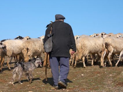 8 profissões antigas em vias de extinção