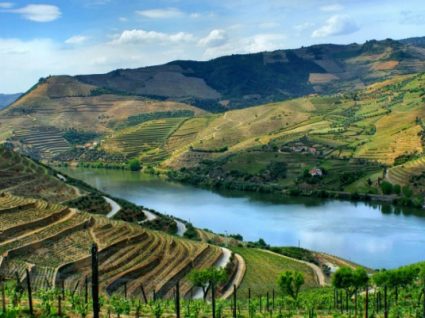 Roteiro no Douro para dois dias inesquecíveis