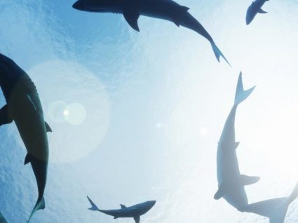 Assisitir a Jaws dentro de água? Parece uma boa ideia…