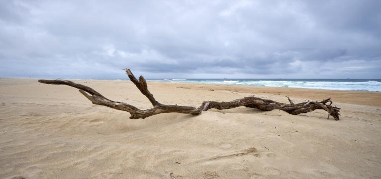 São Jacinto