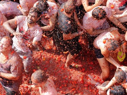 Tomatada de Almeirim: batalha é a 7 de Setembro!