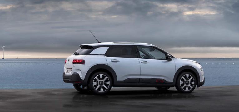 c4 cactus suv