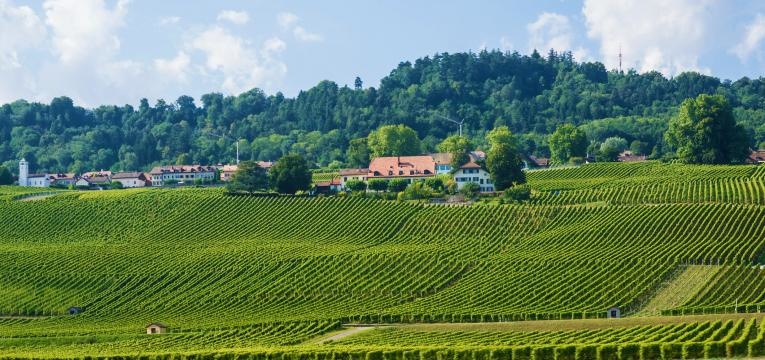 vaud yverdon les bains