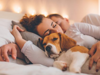 Animais a dormir no quarto dos donos