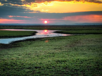 Parauqe da Gorongosa em Moçambique