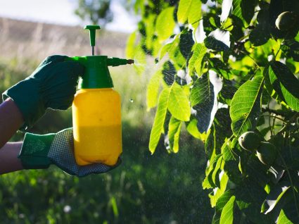 pessoa a borrifar plantas com herbicida natural caseiro