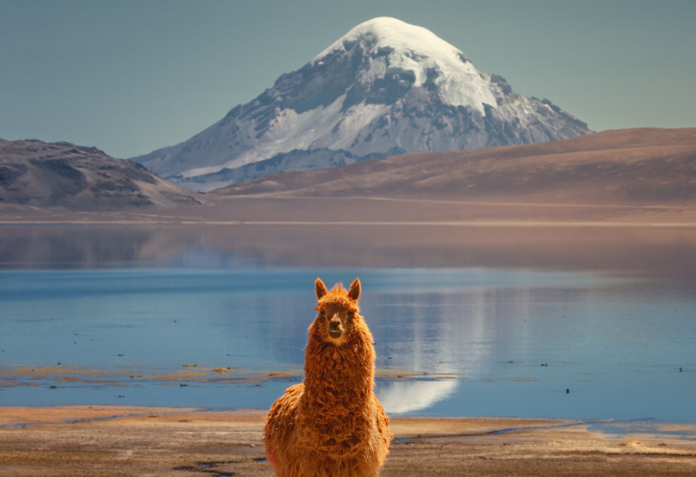 Vulcão no deserto do atacama