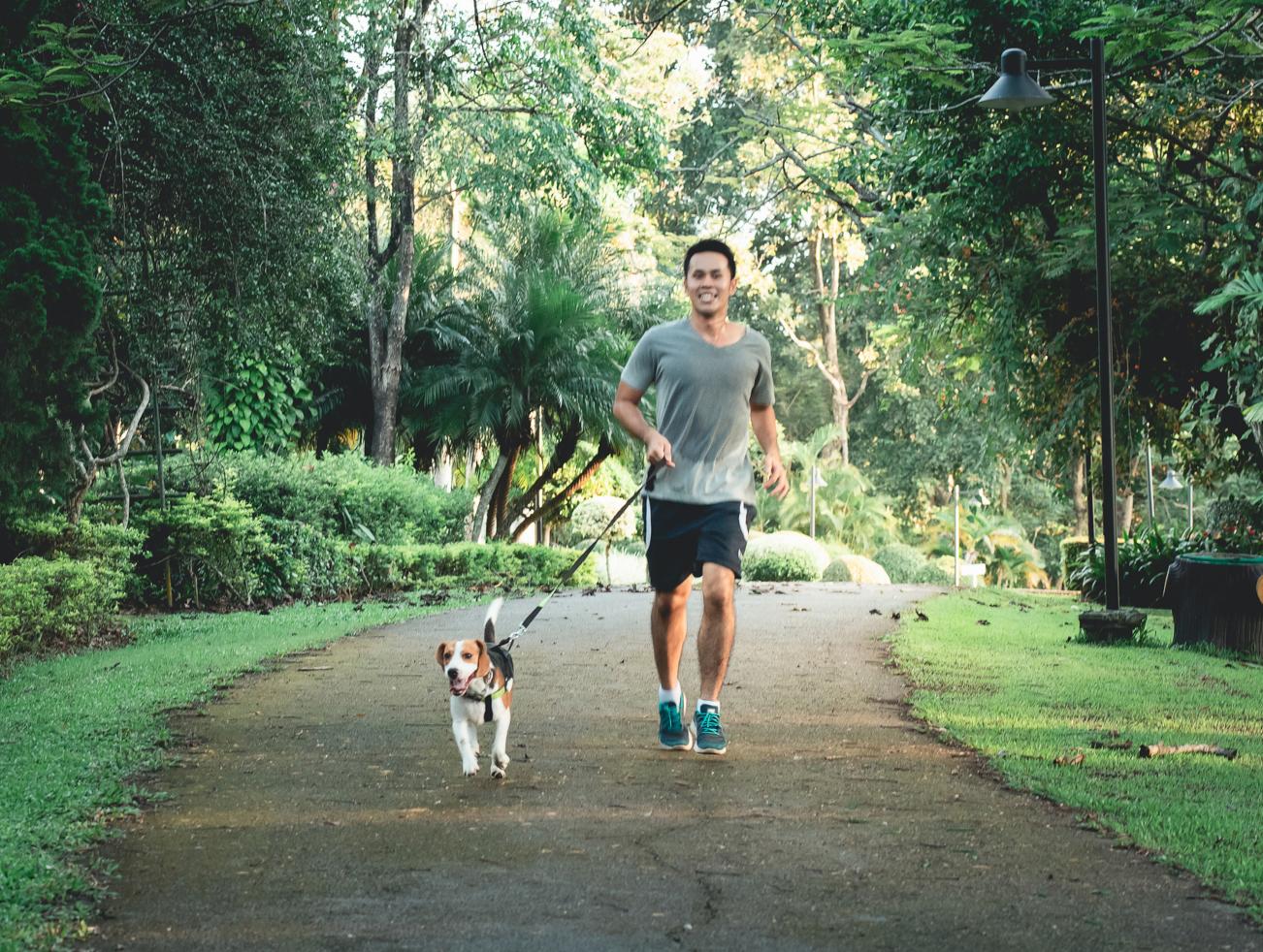 Homem a correr com o cão