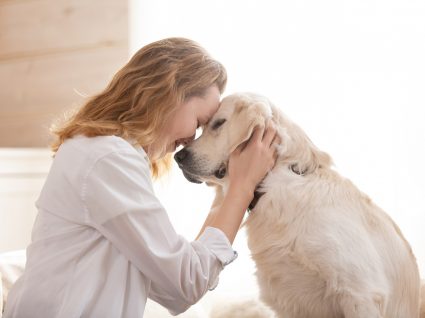 dona com cão a cuidar de animais quando envelhecem