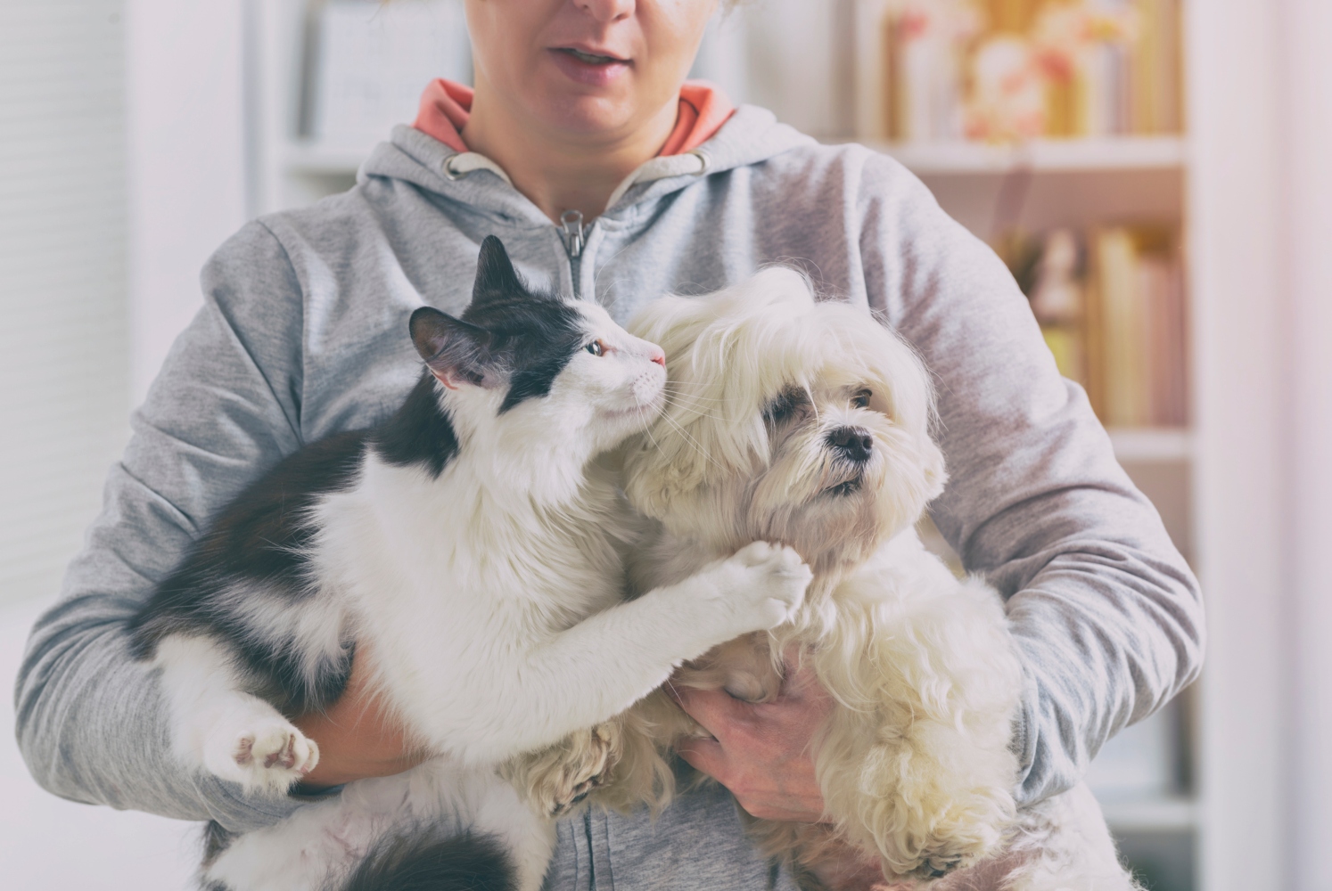 Mulher com animais de estimação