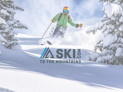 emprego ski