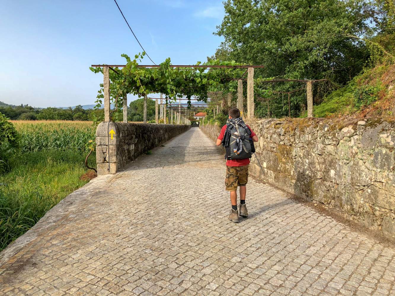 Caminho de Santiago em Portugal com peregrinos