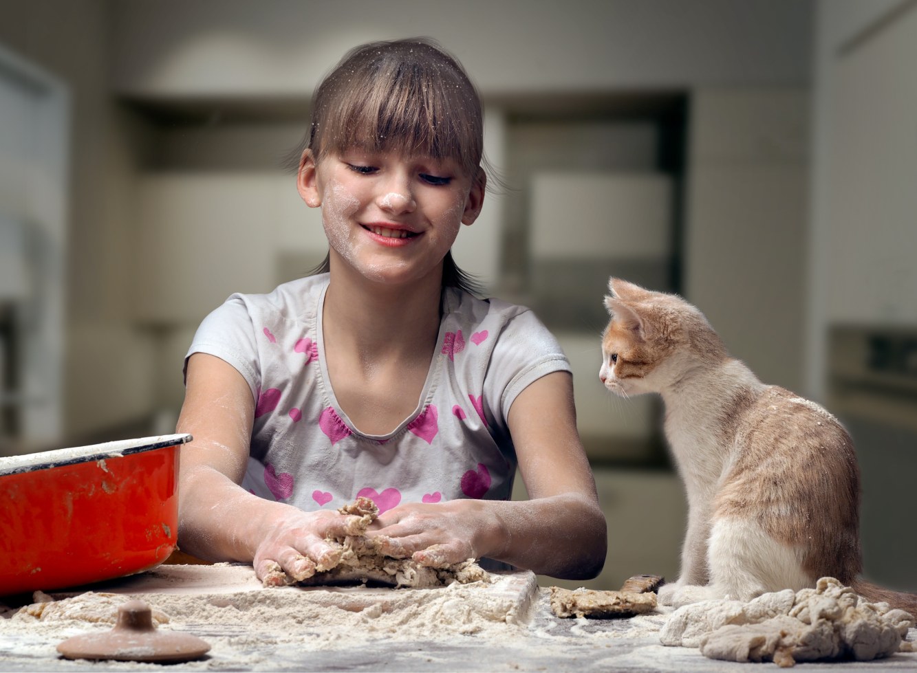 Criança a cozinhar com um gato ao aldo