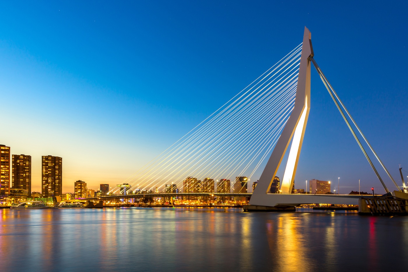 ponte erasmus em roterdão