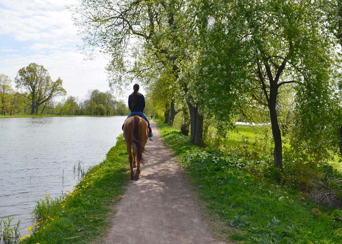 Mulher a dar passeio a cavalo