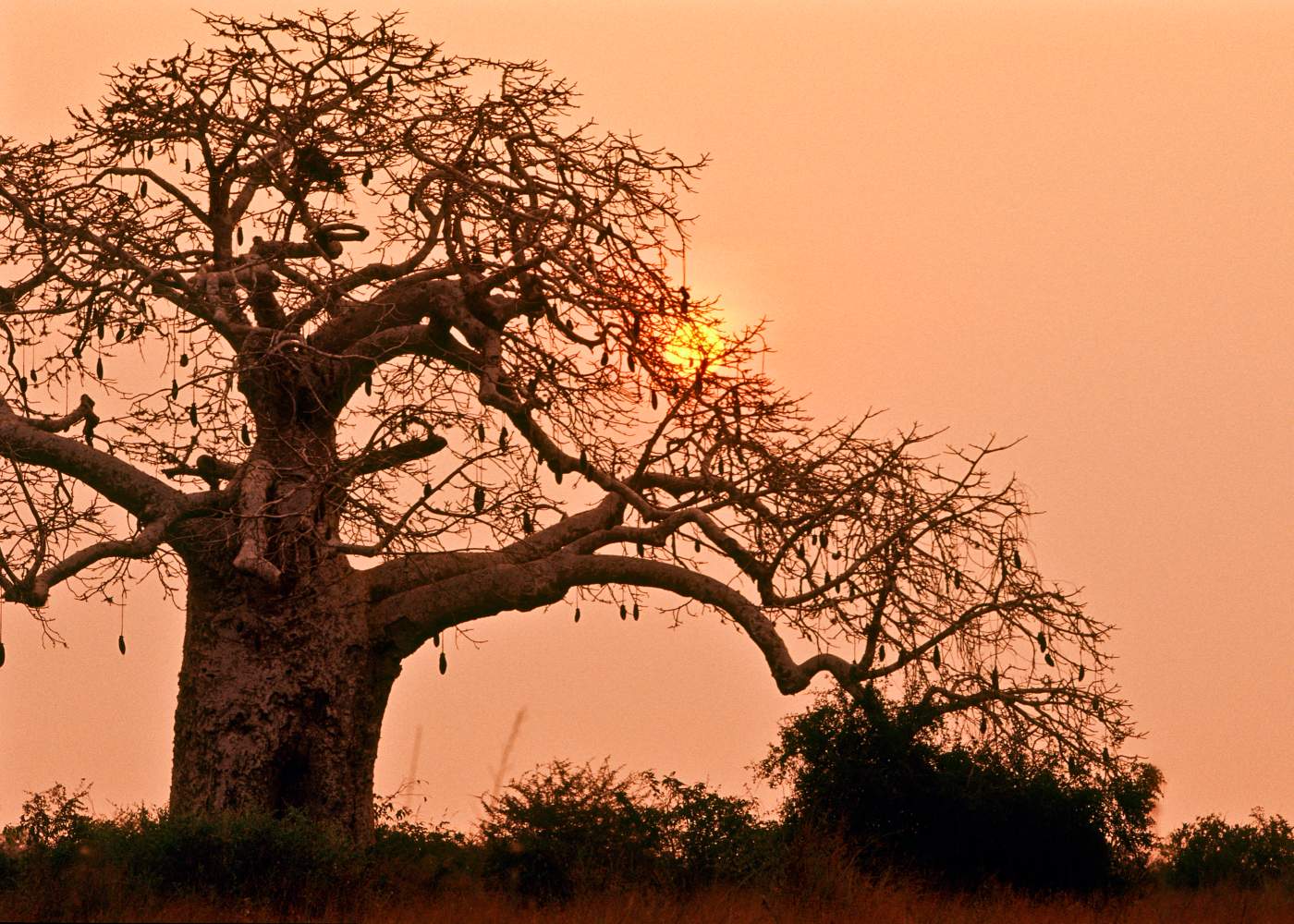 Parque de Kissama em Angola