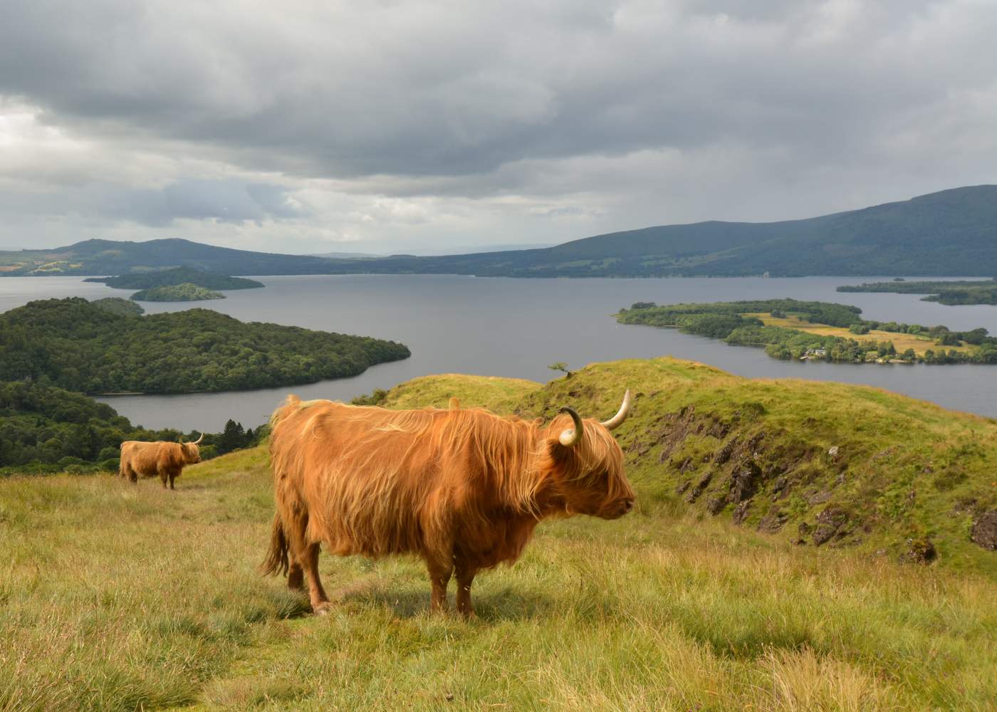 Loch Lomond nas Highlands daEscócia