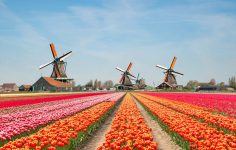 Paisagem dos Países Baixos