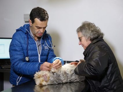 Congresso veterinário em Santa Maria da Feira