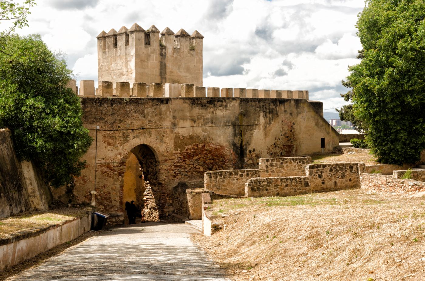 Pormenor de Alcazaba