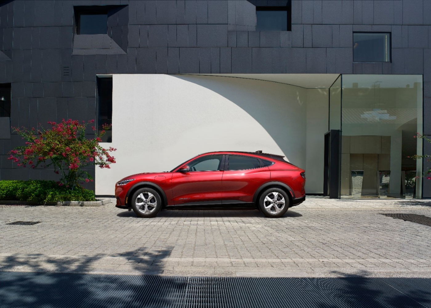 Ford Mustang Mach-E um dos carros elétricos à venda em Portugal