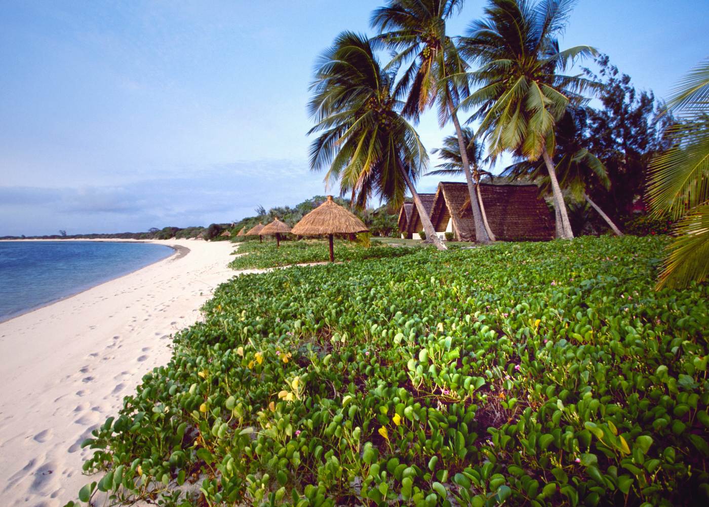 Praia com coqueiros