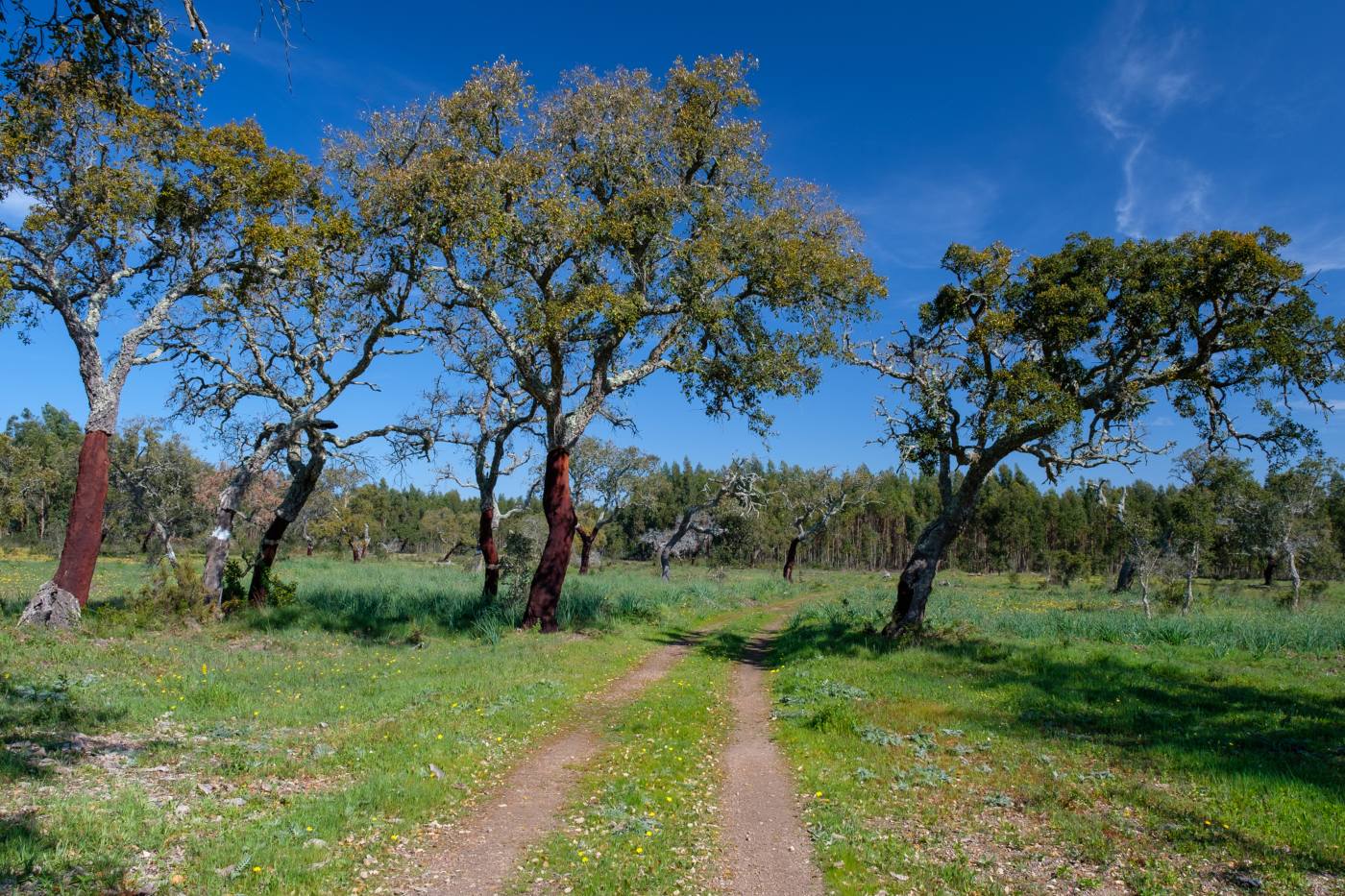 trilho pelo alentejo