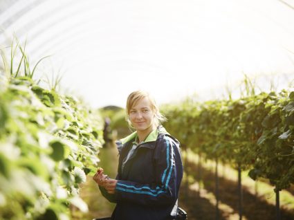 Isenção de IRS a estudantes que trabalhem na agricultura