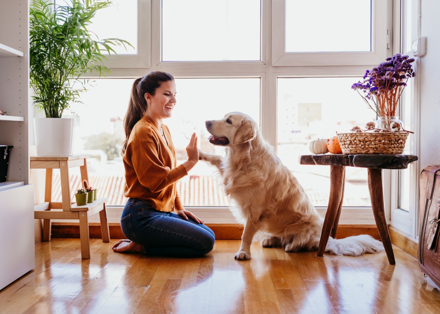 Mulher a brincar com o seu cão