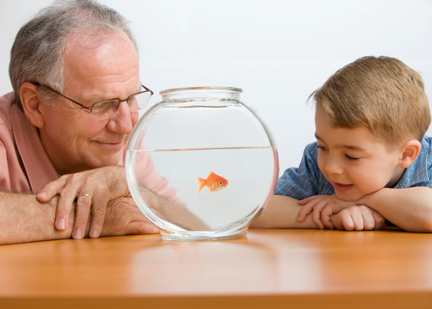 Avô e neto a observar peixe no aquário