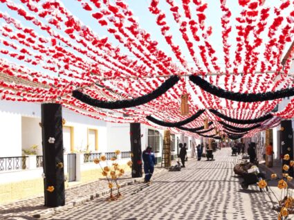 festa das flores em Campo Maior