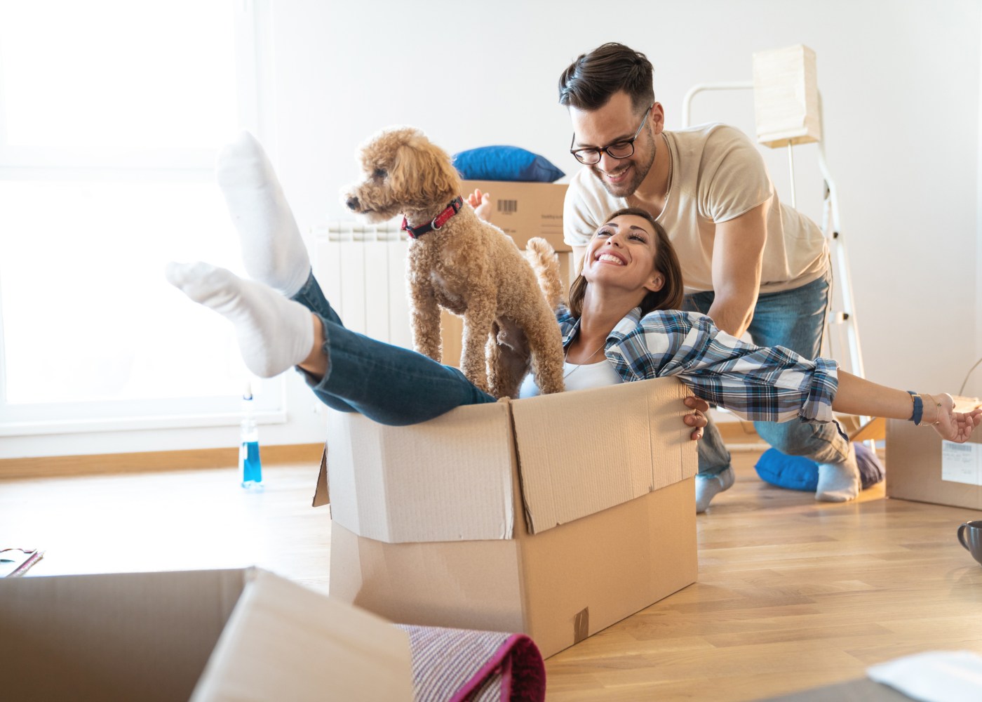 Casal com cão em apartamento