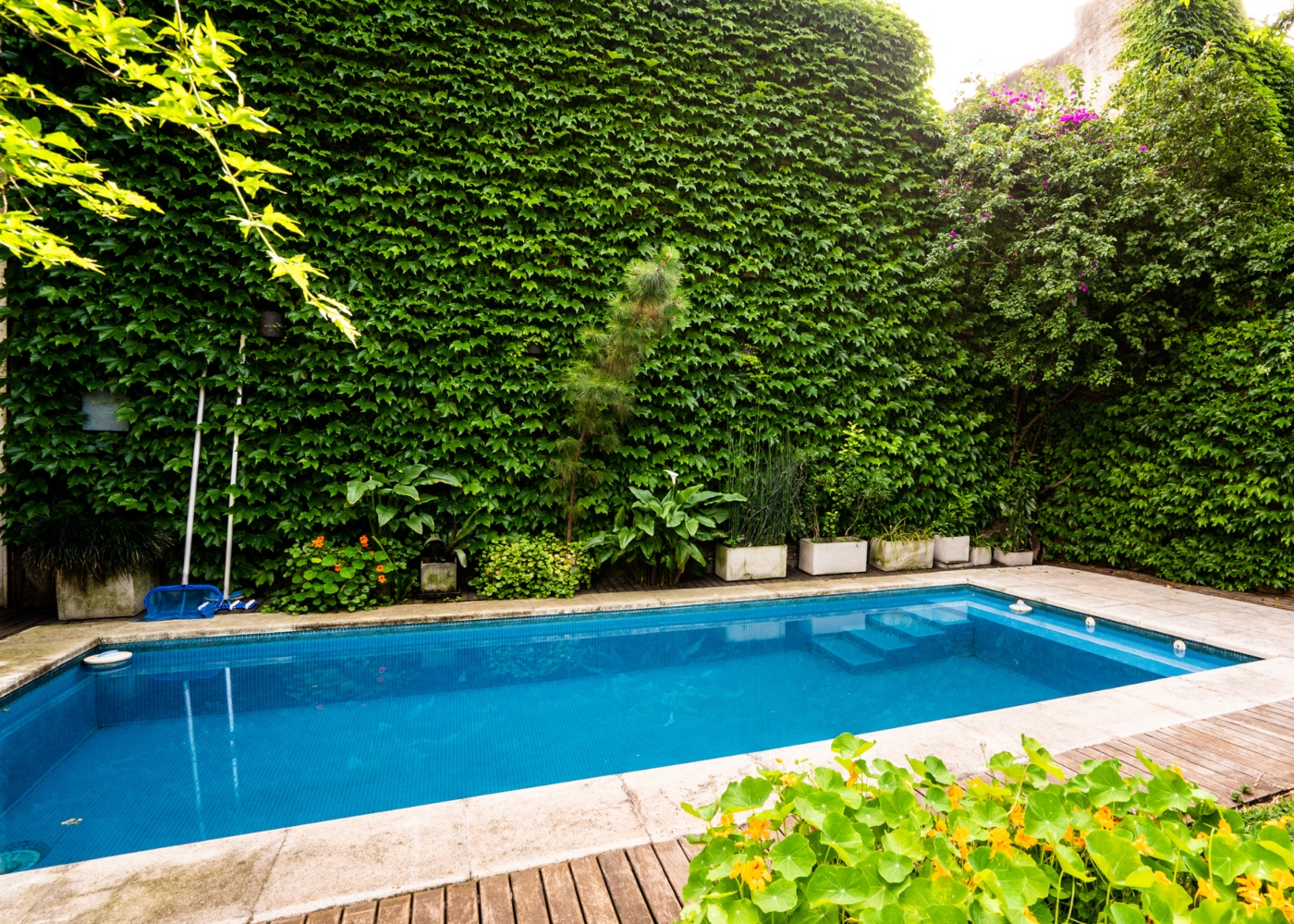 Piscina de alvenaria no jardim de uma casa