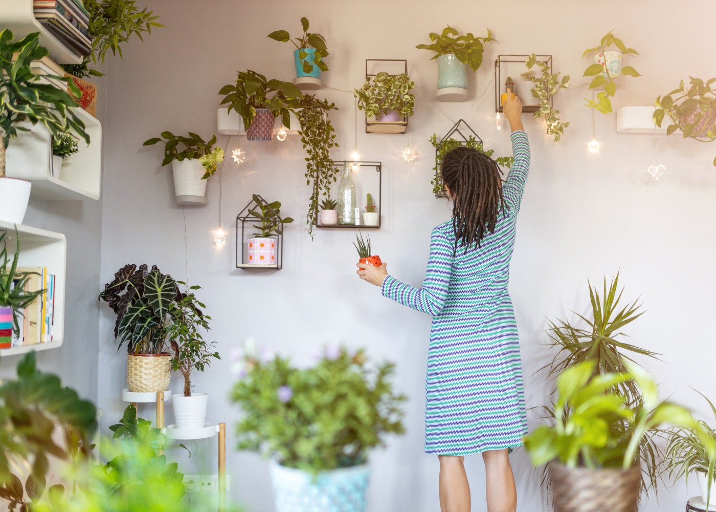 mulher jovem cuida das suas plantas de interior