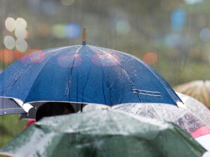 Pessoas na rua com guarda-chuva