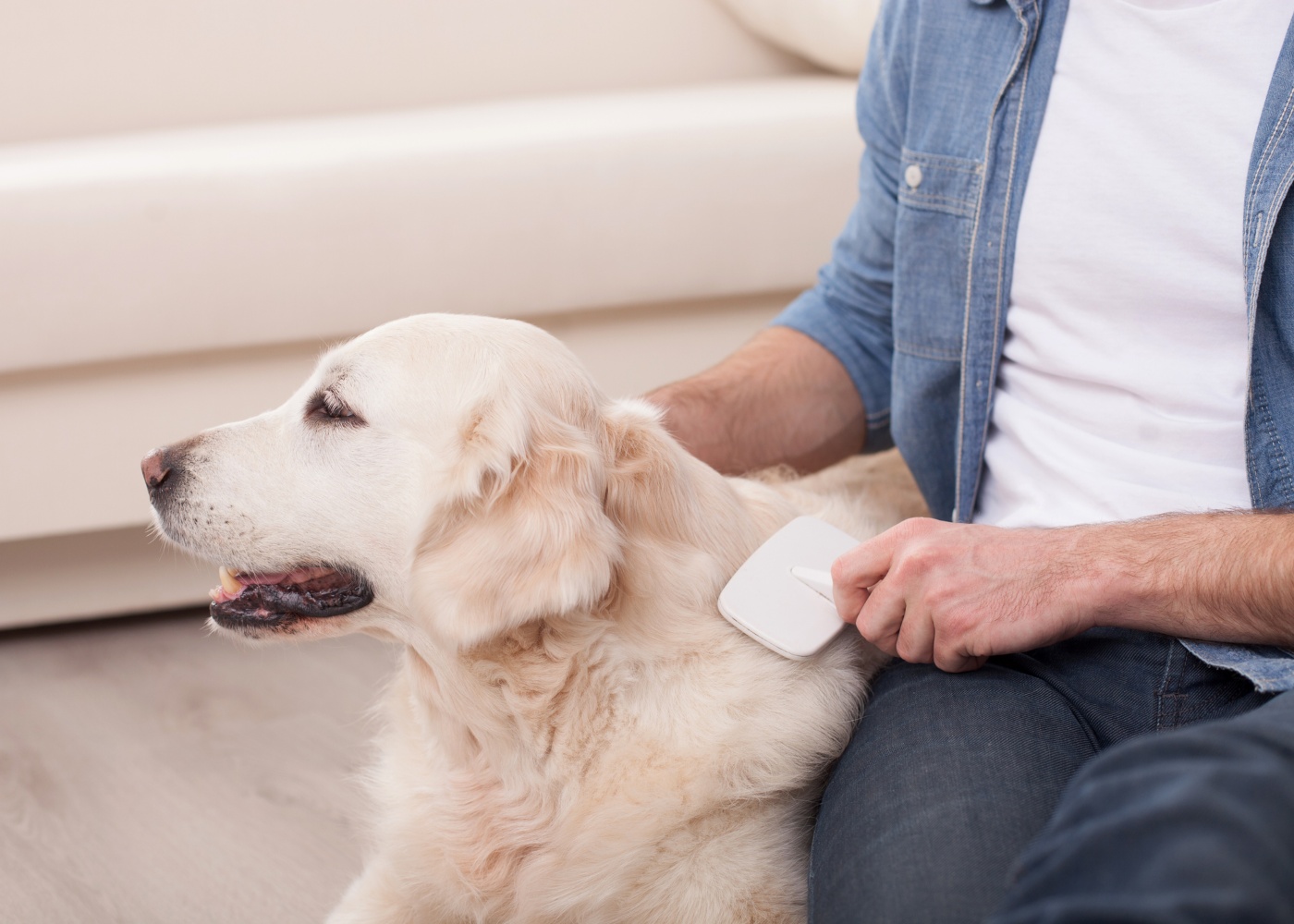 Homem a cuidar do pelo do cão