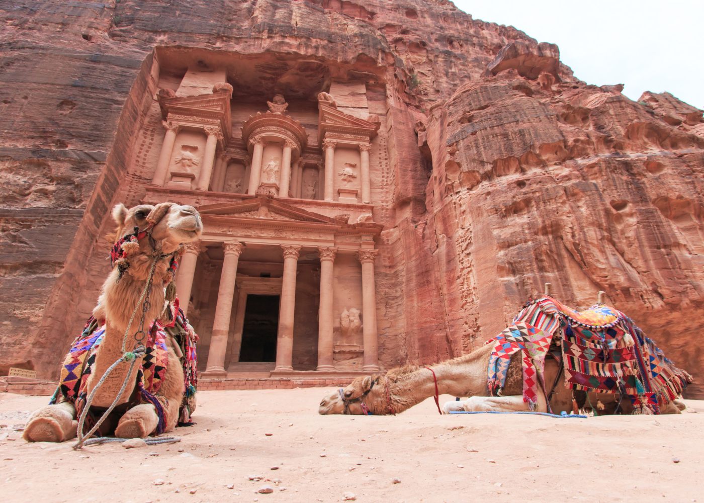 Camelos em Petra na Jordânia