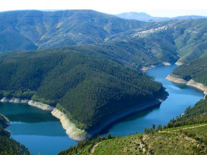 Panorâmica da floresta em Oleiros