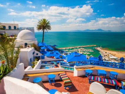 Vista de Sidi Bou Said