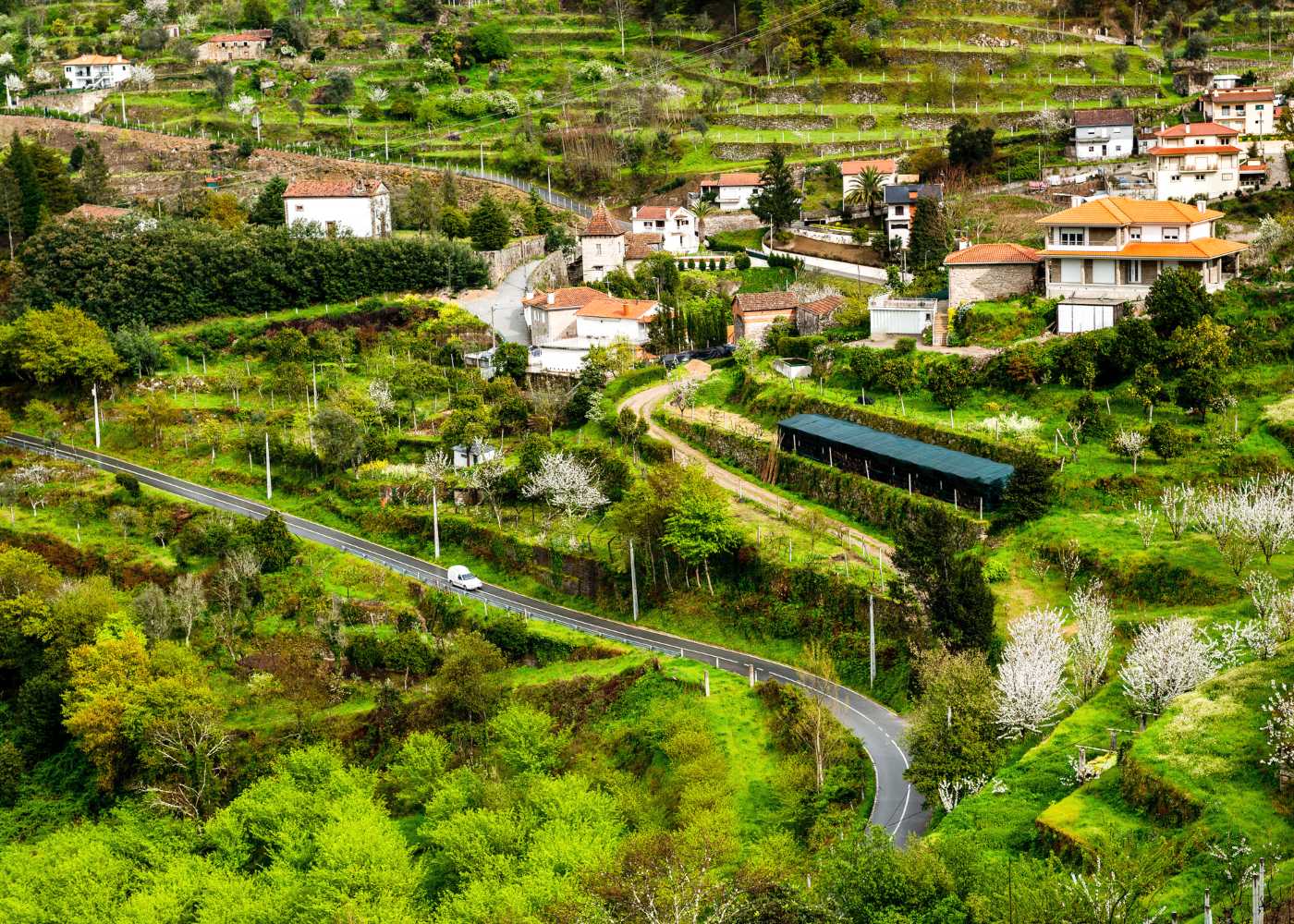 Estrada Nacional 222 Cinfães do Douro