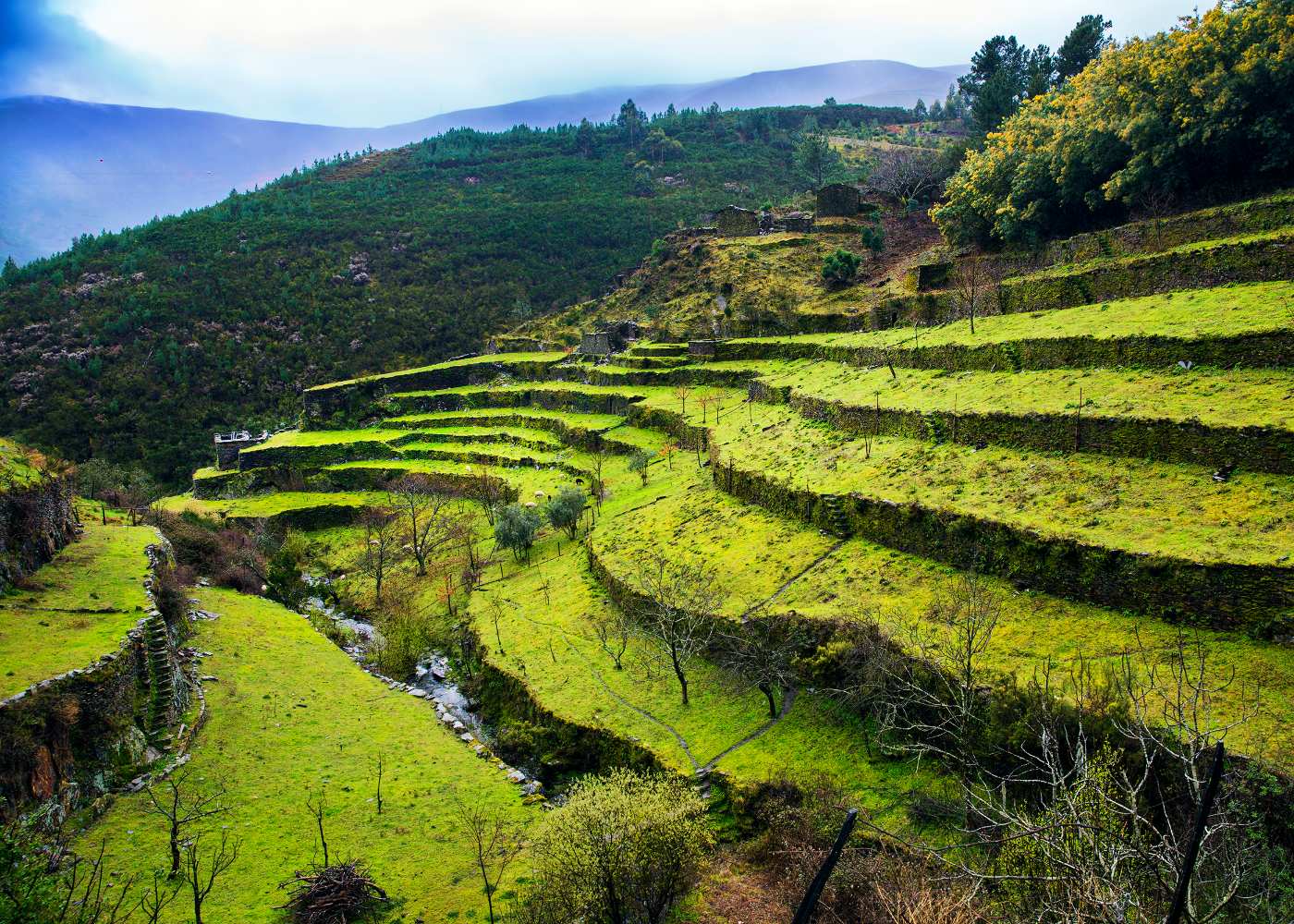 Campos no Piódão